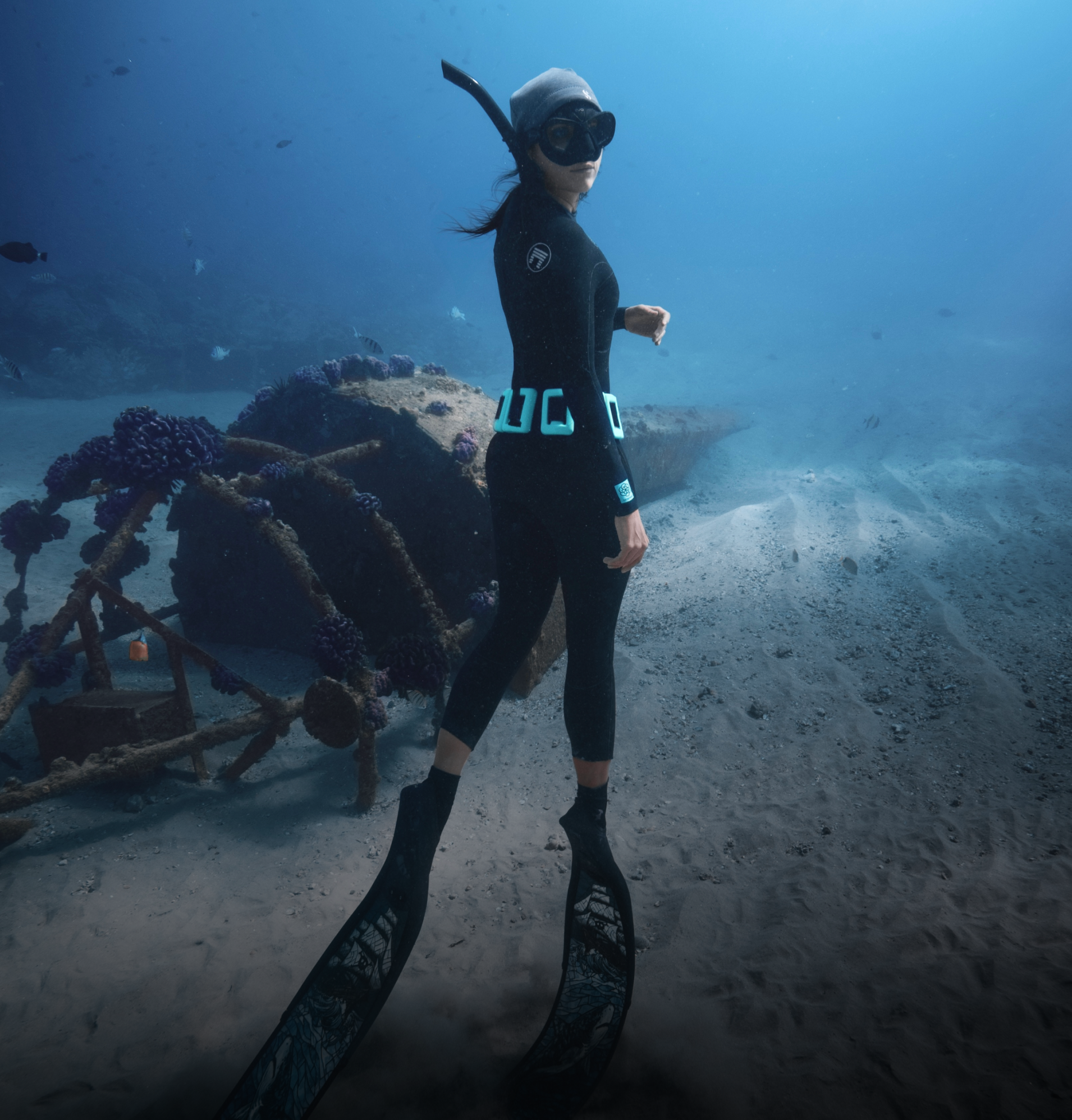 DIVE